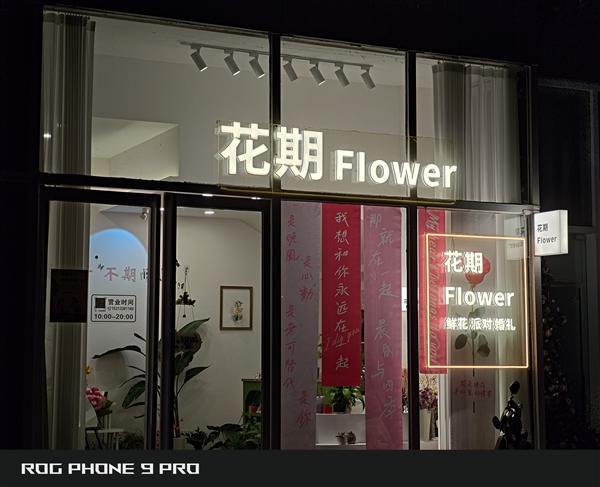 o详细评测：185帧极致流畅！背屏趣味拉满PP电子手机aPPROG游戏手机9 Pr(图11)