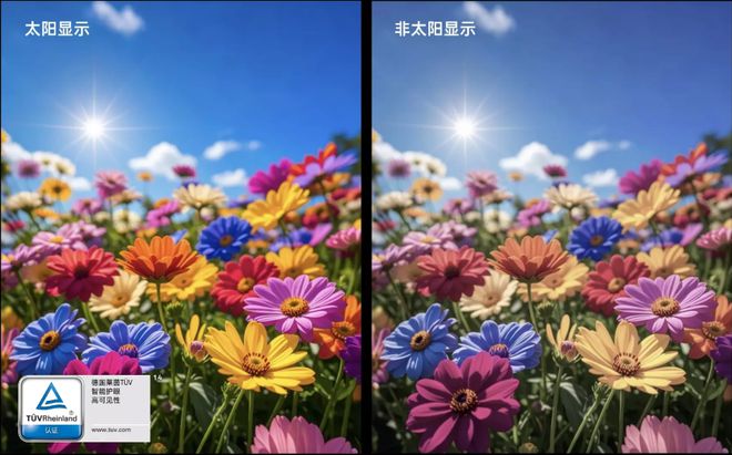 99元起的性能猛兽游戏体验新标杆PP电子一加Ace5评测 22(图9)