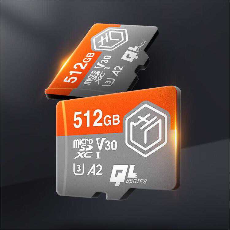 OG Ally游戏掌机九款micro SD卡分享PP模拟器免费试玩入口小体积大储存轻松拓展容量R(图3)